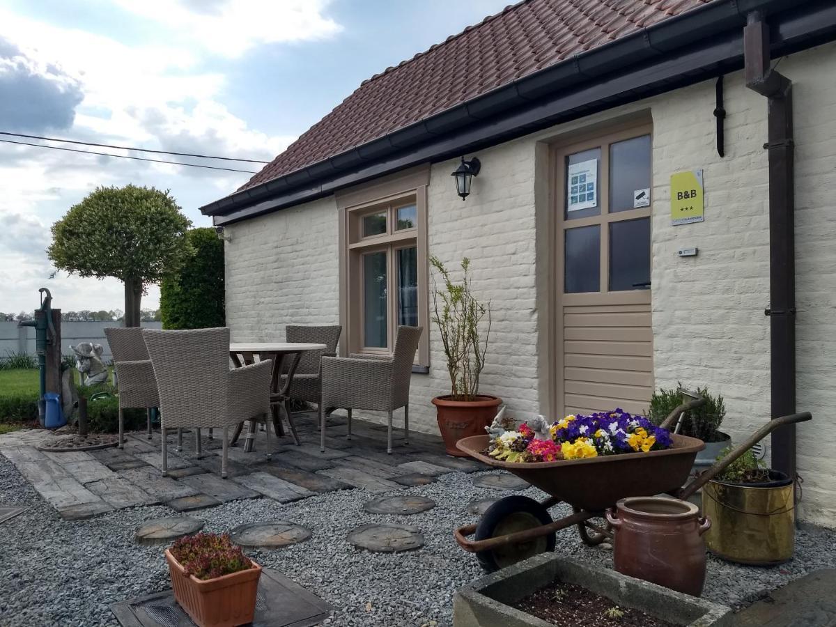 DHofstede vakantiewoning Oudenaarde Buitenkant foto