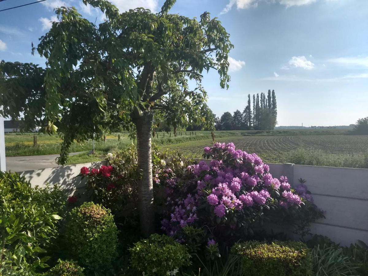 DHofstede vakantiewoning Oudenaarde Buitenkant foto